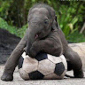 Meet your Posher, Emma